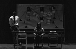 The Transformative Impact of Litigation