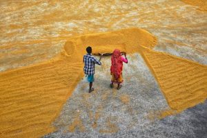 Understanding the Power of Positive Reinforcement in Management