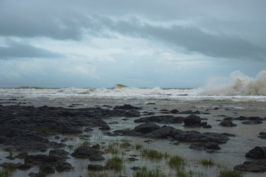 The Power of Waiting: Avoiding Buyer's Remorse Effectively