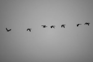 Simple Techniques for Overcoming Fear of Failure