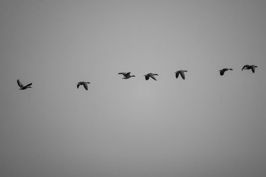 Simple Techniques for Overcoming Fear of Failure