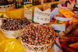 Exploring the Potential of Robotics and Coding in K-12 Schools