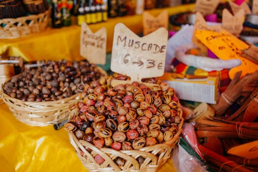 Exploring the Potential of Robotics and Coding in K-12 Schools