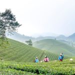 The Transformative Impact of Taking Ownership of Your Mistakes